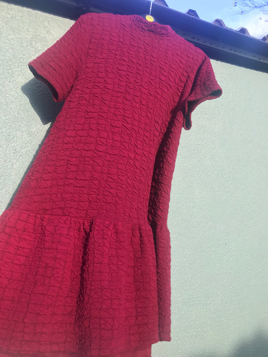 Winter Berry Dress